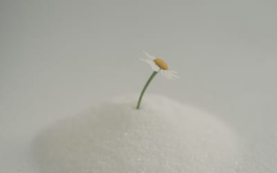 Kali Phos - The Tissue Salt You Need When You're Overworking