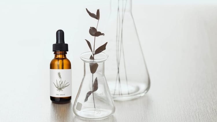 Homeopathy for fatigue, burnout and insomnia